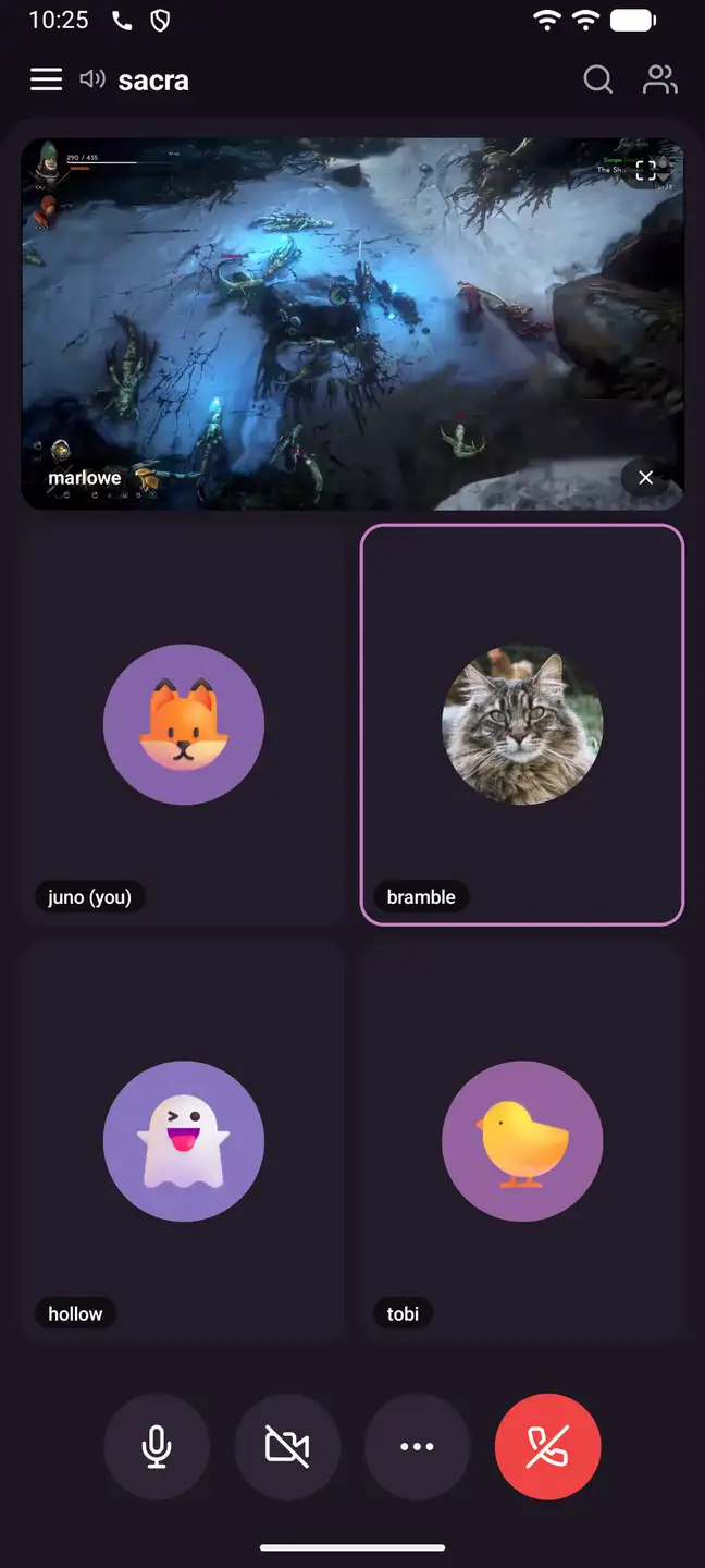 Woosh on a phone, in the same call: the stream on top and everyone in the call below it.
